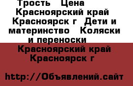 Трость › Цена ­ 600 - Красноярский край, Красноярск г. Дети и материнство » Коляски и переноски   . Красноярский край,Красноярск г.